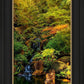 Secluded Pond