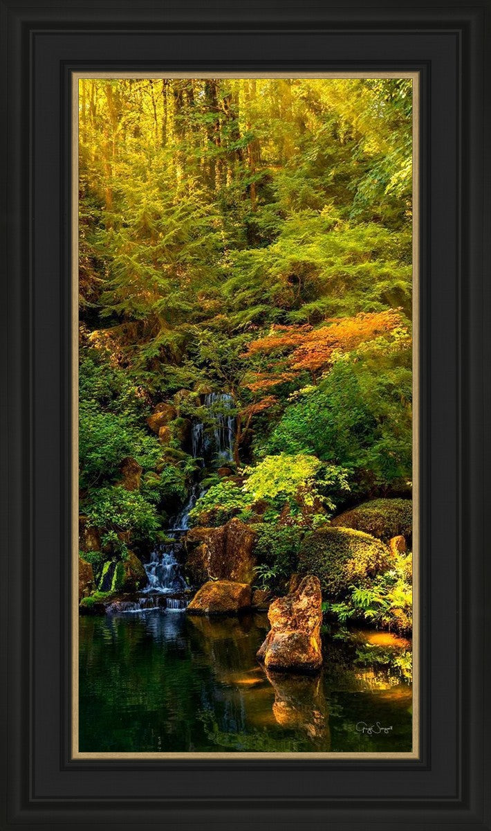 Secluded Pond