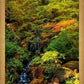 Secluded Pond