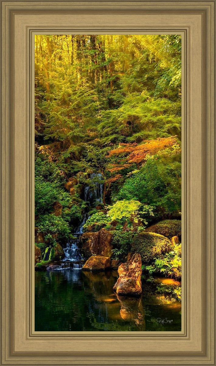 Secluded Pond