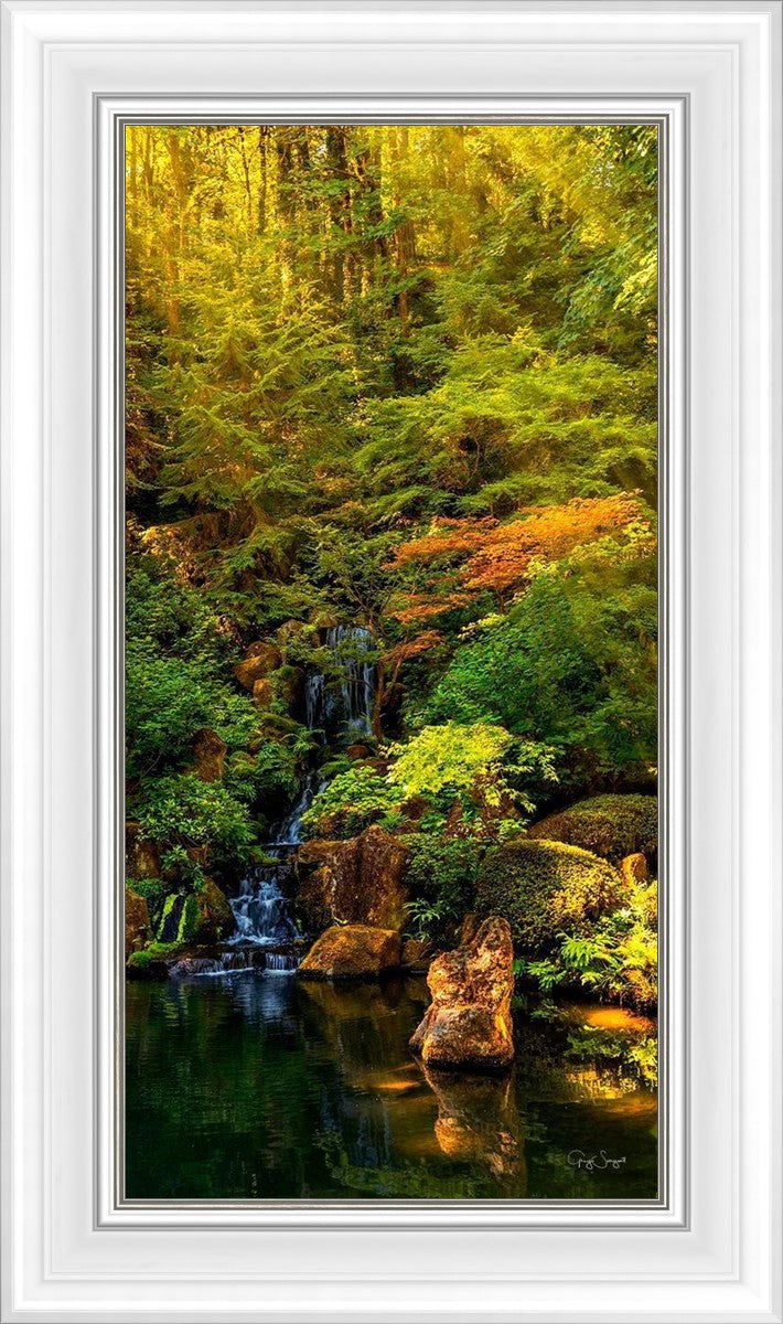 Secluded Pond