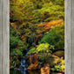 Secluded Pond
