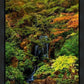 Secluded Pond