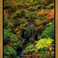 Secluded Pond