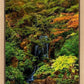 Secluded Pond