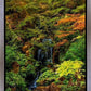 Secluded Pond