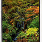 Secluded Pond