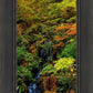Secluded Pond