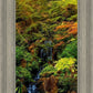 Secluded Pond