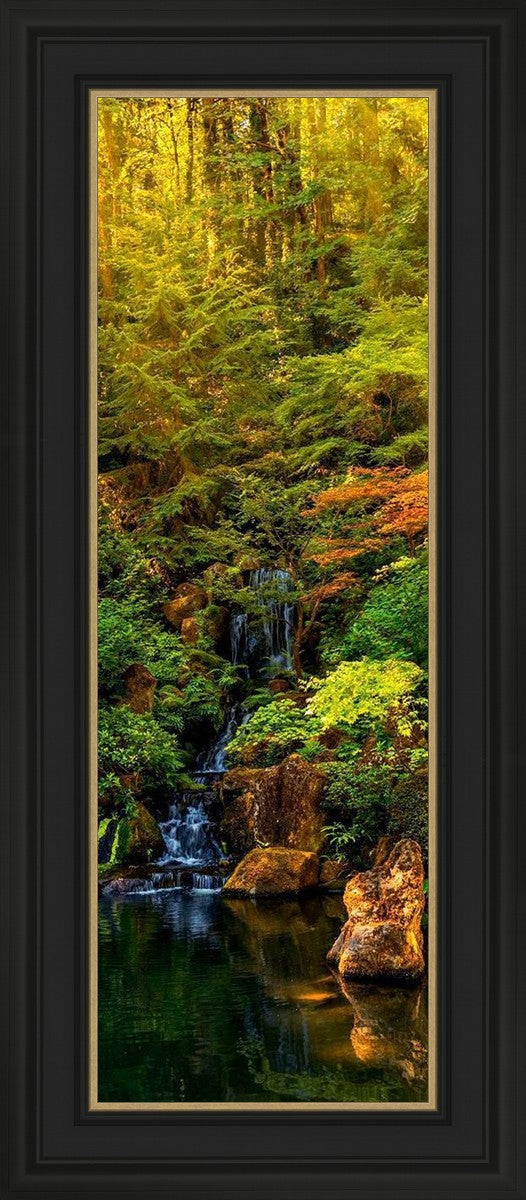 Secluded Pond