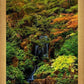 Secluded Pond
