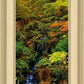 Secluded Pond