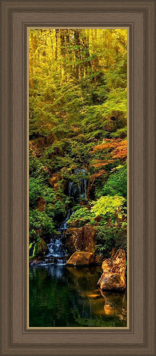 Secluded Pond