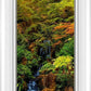 Secluded Pond