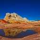 White Pocket Reflection