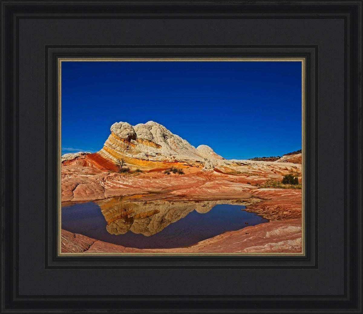 White Pocket Reflection