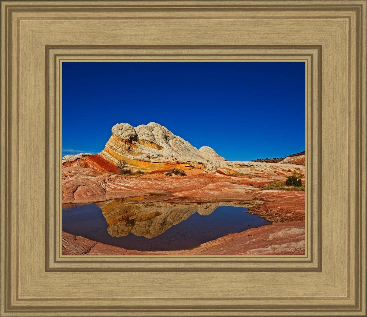 White Pocket Reflection
