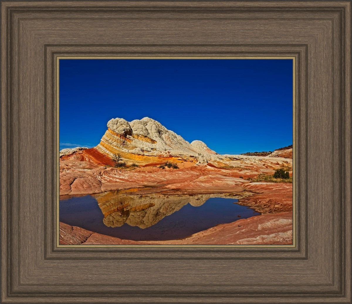 White Pocket Reflection