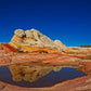 White Pocket Reflection
