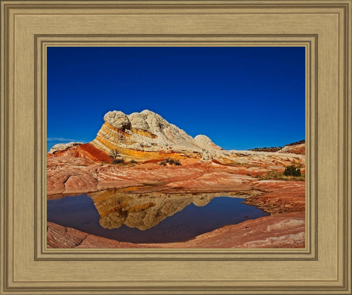 White Pocket Reflection