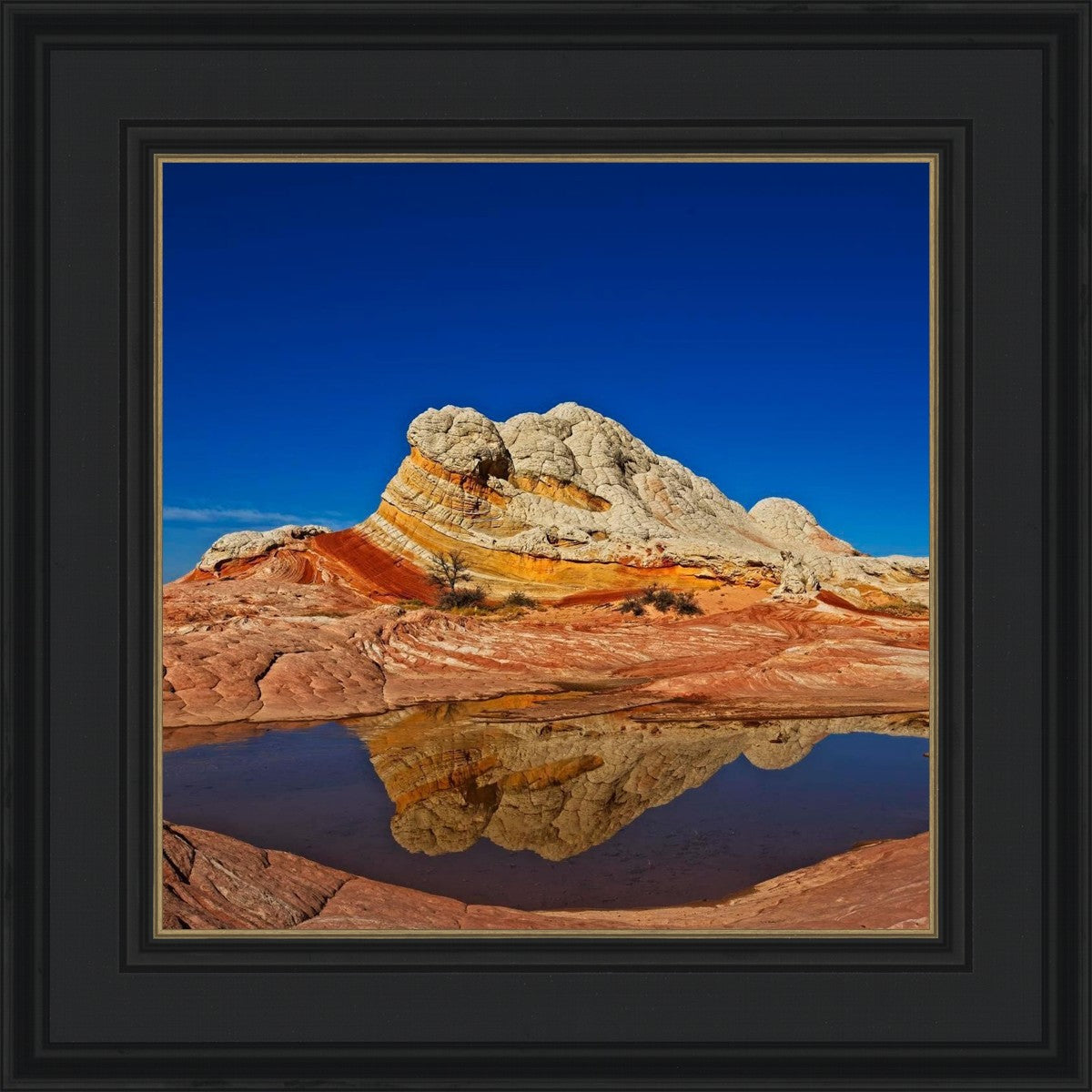 White Pocket Reflection