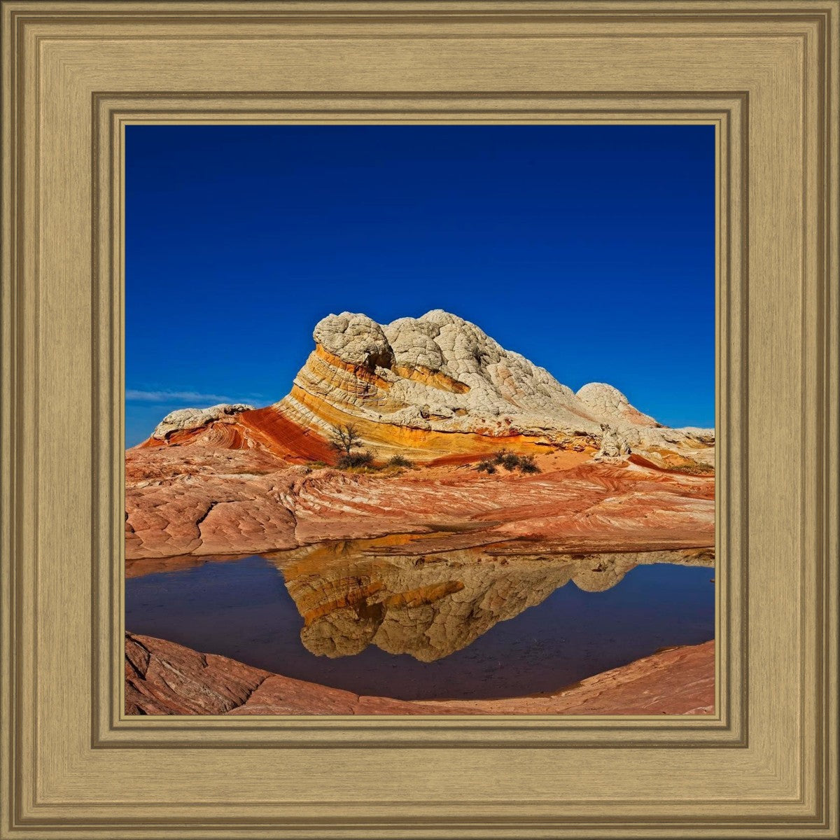 White Pocket Reflection
