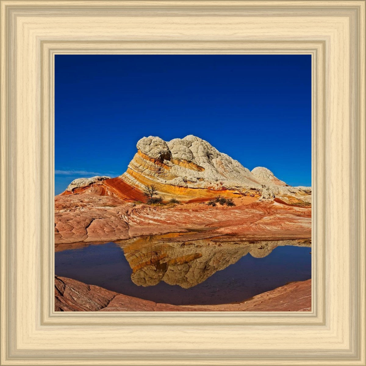 White Pocket Reflection