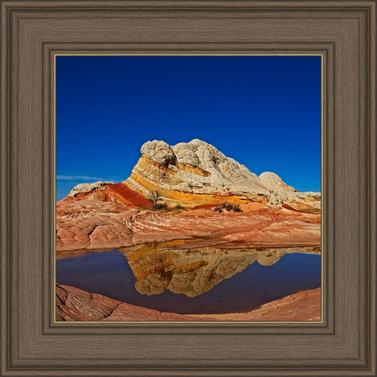 White Pocket Reflection
