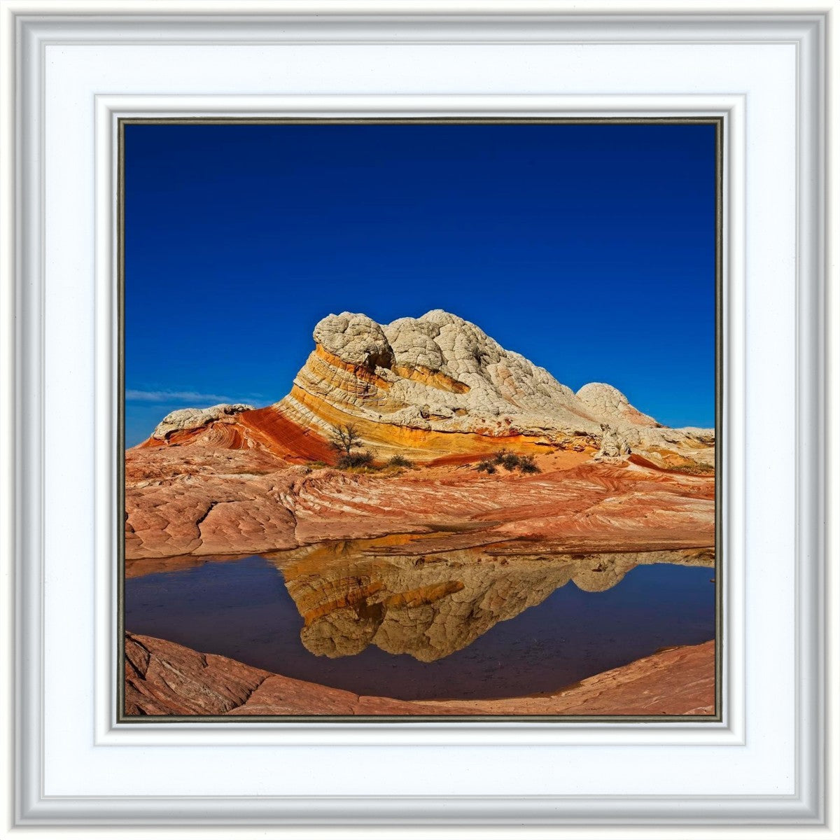 White Pocket Reflection