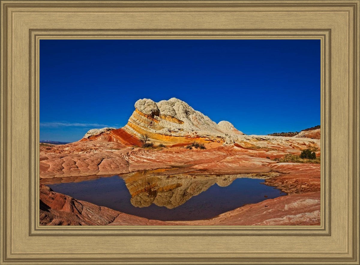 White Pocket Reflection