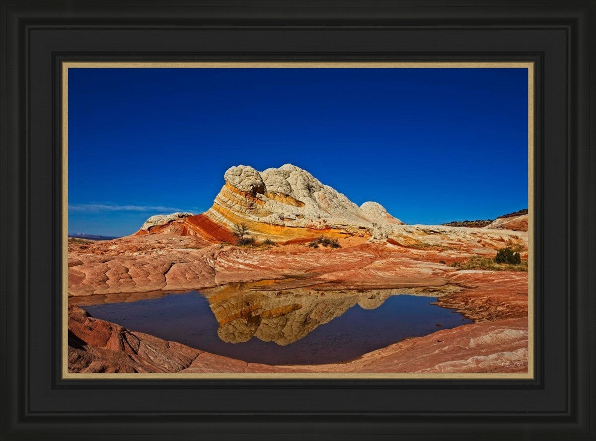 White Pocket Reflection