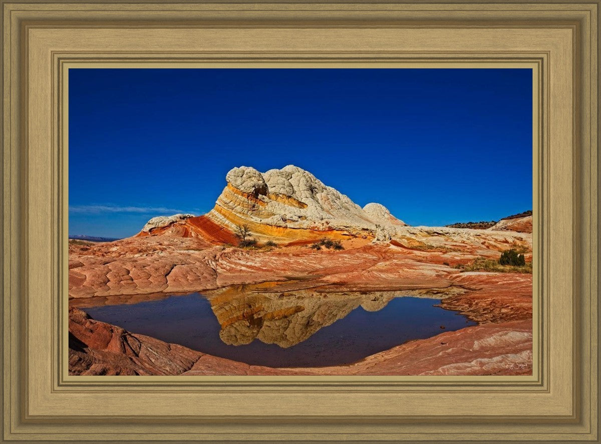 White Pocket Reflection