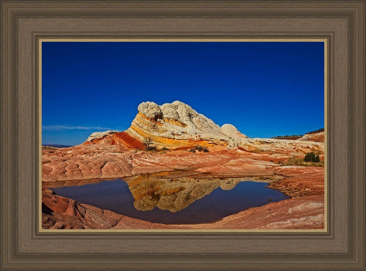 White Pocket Reflection