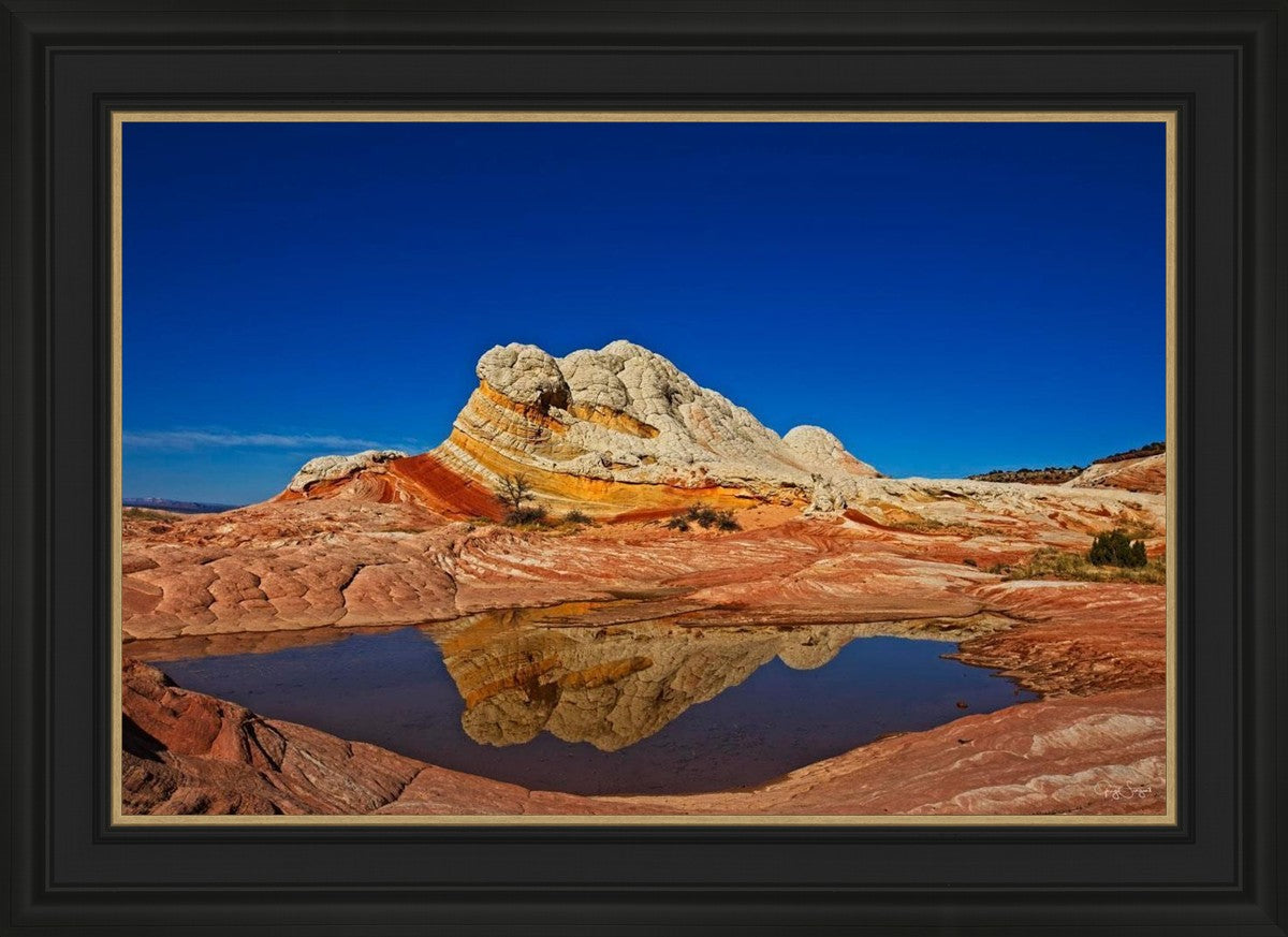 White Pocket Reflection