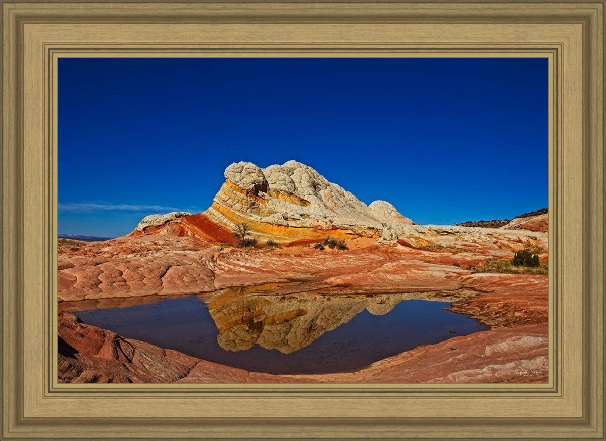 White Pocket Reflection