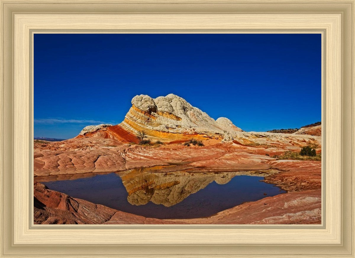 White Pocket Reflection
