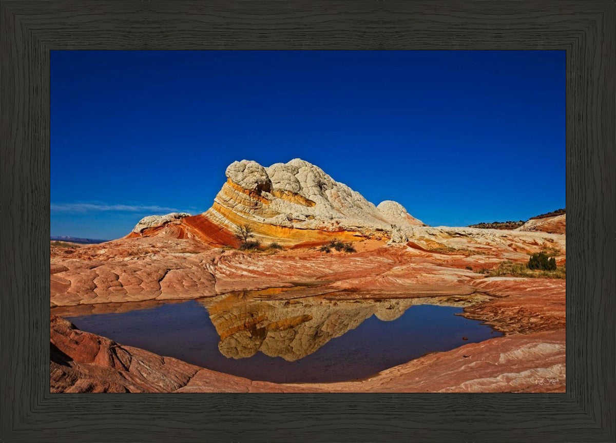 White Pocket Reflection