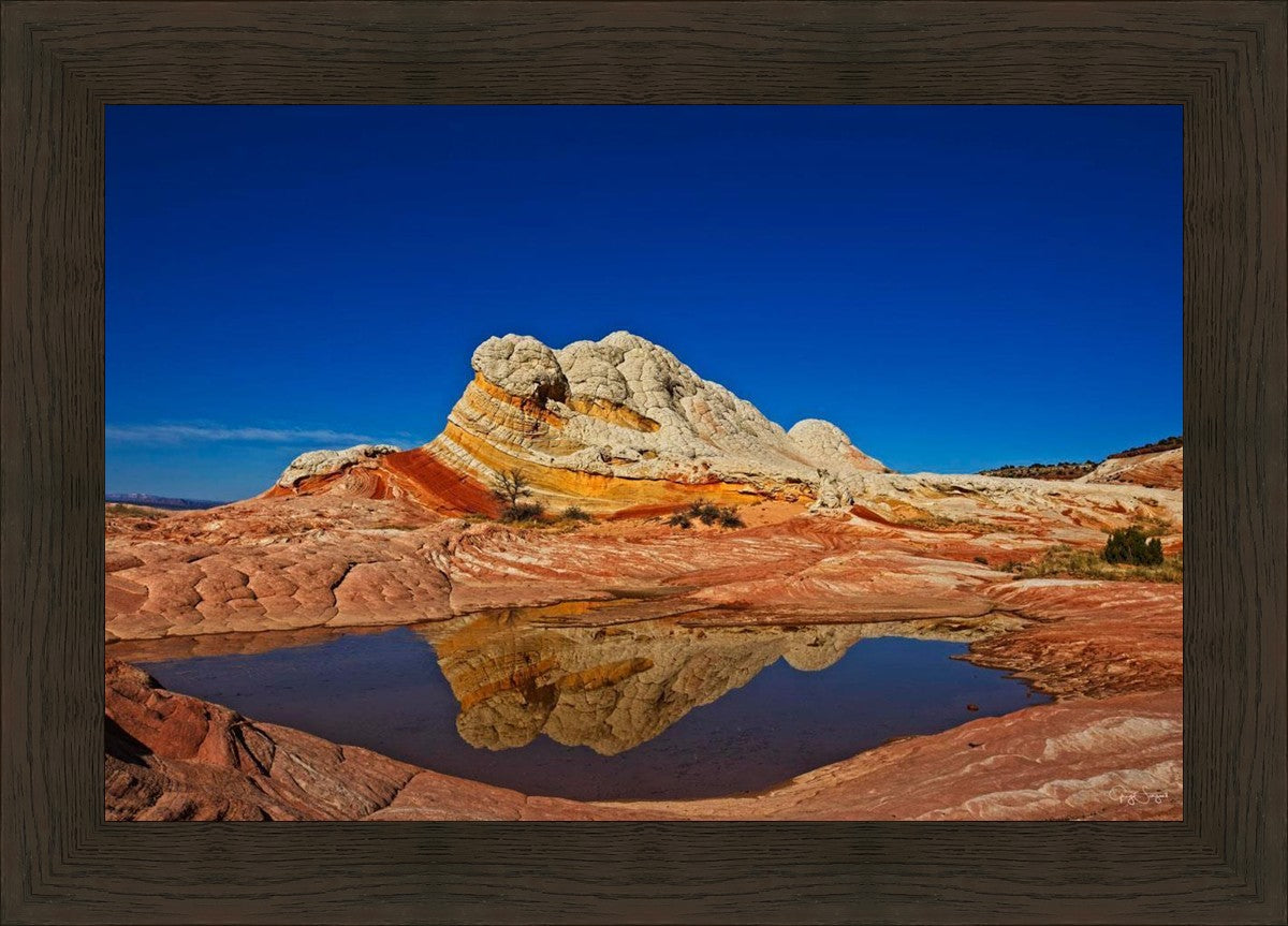 White Pocket Reflection