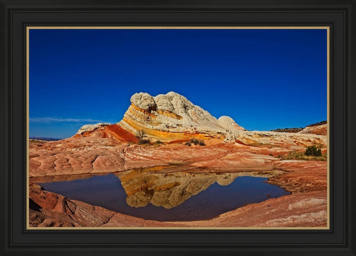 White Pocket Reflection