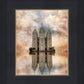 Millennial Reflection Salt Lake City Utah Temple