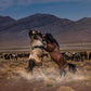 Desert Duel