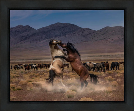 Desert Duel Gallery Wrap