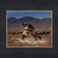 Desert Duel