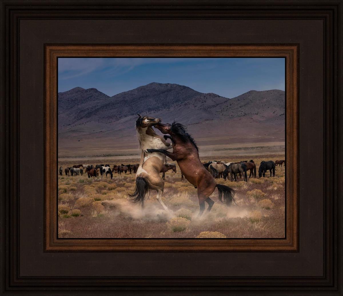 Desert Duel
