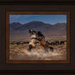 Desert Duel