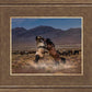 Desert Duel
