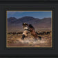 Desert Duel