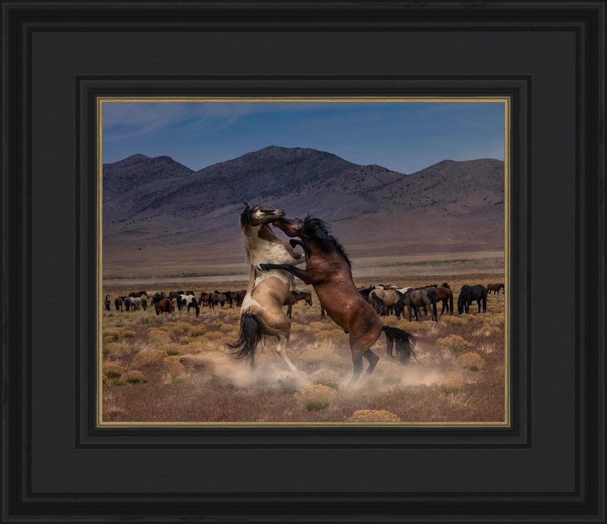 Desert Duel