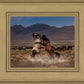 Desert Duel