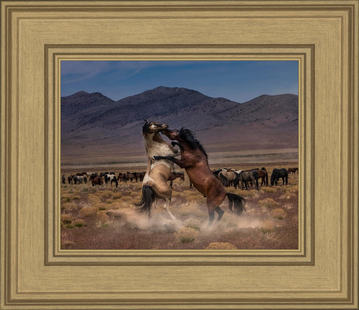 Desert Duel